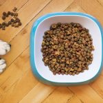 Foods To Avoid When Dog Has Cushings