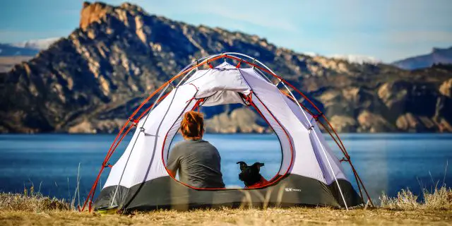 Guide for camping with dog - tips for a day of camping