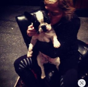 The Cutest Pets of Hollywood Celebrities